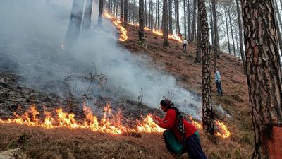 उत्तराखंड के जंगलों में आग: आदेशों और चेतावनी की अनदेखी कर वनकर्मियों को लगाया इलेक्शन ड्यूटी पर