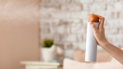 Are air fresheners toxic? Handy home fragrance safety tips from medical experts, plus safe products to try instead