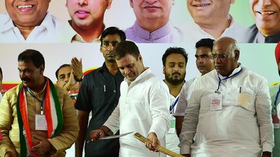 Naseem Khan back as star campaigner for Congress after Rahul Gandhi’s assurance