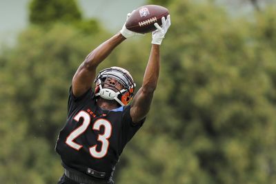 Bengals excited to deploy Dax Hill’s skill set at CB