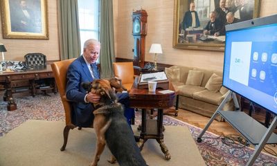Have I got this right? Does Kristi Noem really want Joe Biden to start killing dogs too?