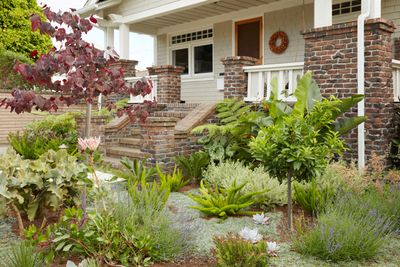 "Edible Front Yards" Are the Landscaping Trend That Give Growing Vegetables a New Curb Appeal