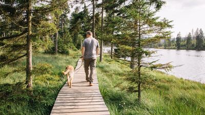 Trainer shares the secret to getting your dog to focus on you when you’re on a walk — and it’s really effective!