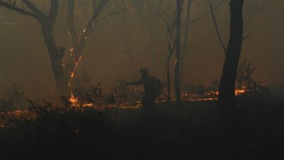 Powercor cops $2.1m fine after growth sparked bushfire