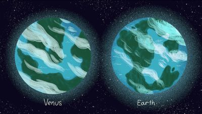 Venus and Earth used to look like 'twin' planets. What happened?