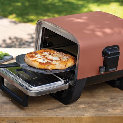 Can you cook pizza in the Ninja Woodfire? Yes you can, but only if you buy the right version