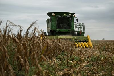 Mexico Needs American Corn Farmers Over Protectionism