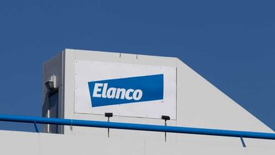 Elanco Makes A Bullish Move On Its First Quarter Beat; Are Pet Health Stocks Forging A Comeback?