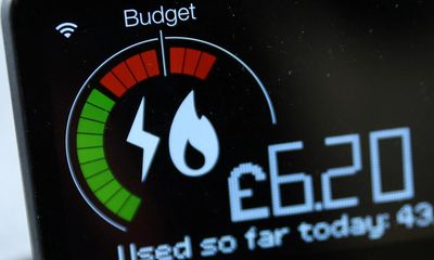 British Gas boss says all UK households should be fitted with smart meters