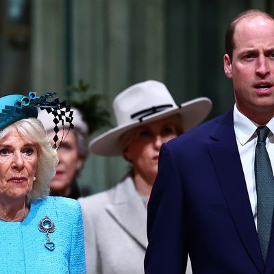 Both Queen Camilla and Prince William Reportedly Played Into King Charles’ Decision to Decline a Meeting with Prince Harry in London