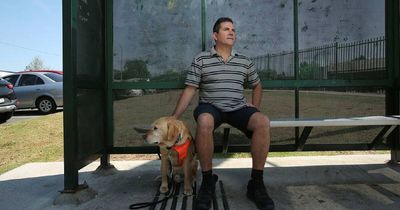 Claim bus driver abused blind passenger over guide dog, investigation launched