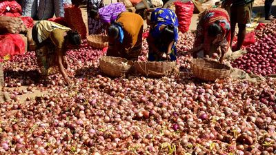 Lifting of ban on onion export pushes up prices
