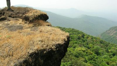 Jungle Lodges & Resorts told to return Hemmadaga Nature Camp to Forest Department of Karnataka