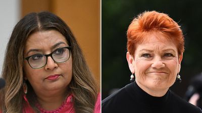 Late twist in Pauline Hanson 'racism' lawsuit