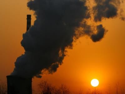 Corporate Climate Watchdog Deems Carbon Offsets Ineffective