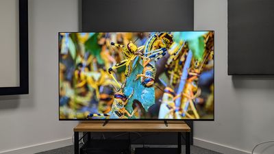 Best OLED TV 2024: our reviewers have 3 strong recommendations