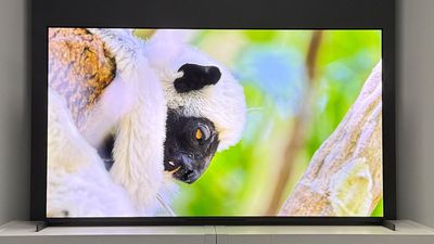 Best OLED TV 2025: the 3 sets our reviewers recommend revealed