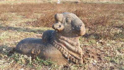 Idols of Nandi and Vishnu found near Budalur in Thanjavur district