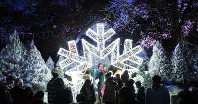 The Christmas in July festival will be returning to Canberra - in June