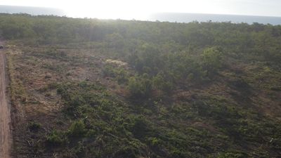 Allegations as controversial land-clearing stops