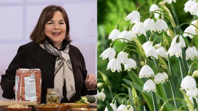 Ina Garten Loves These 2 Spring Flowers — Here's Everything You Need to Know About How to Grow and Care for Them