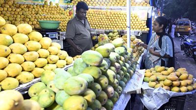 Tart start to mango season this year