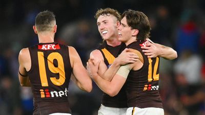 Hawthorn hope 'fortress' delivers back-to-back wins
