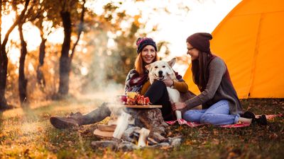 No stupid questions: Should you take your pets camping?