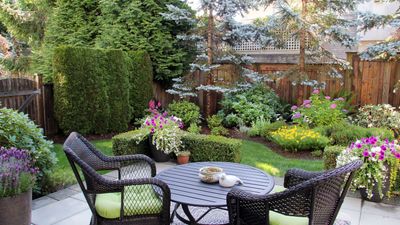 How to take care of a small yard — 5 top tips from a garden designer
