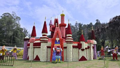 Disney fairy castle, Niligiri mountain rail engine are star exhibits at 126th annual Ooty flower show