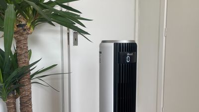 Levoit 36-Inch Classic Tower Fan review: quiet, powerful and affordable cooling