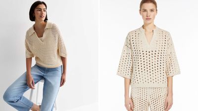 We've found an £18 lookalike of the £480 'must-have' Max Mara mesh jumper