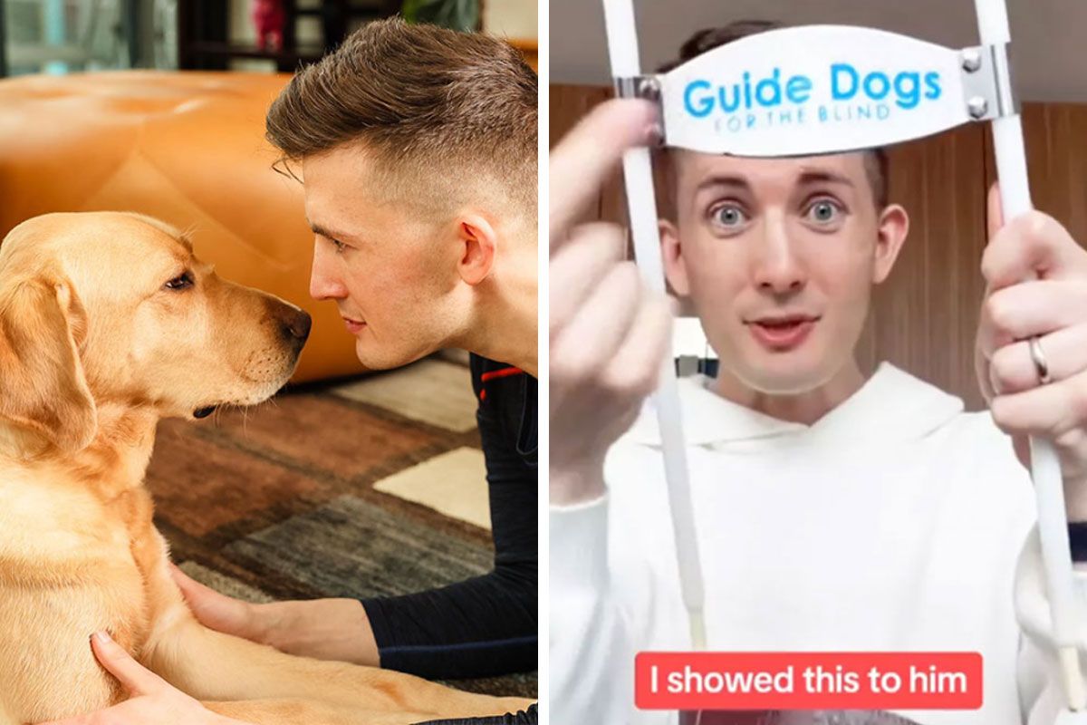 Man Is Denied Entry At Restaurant After Worker Accuses…