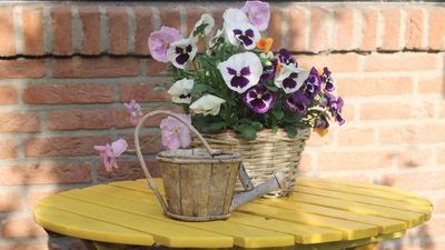 Project for the weekend – 4 outdoor table centerpiece ideas to elevate your al fresco dining area