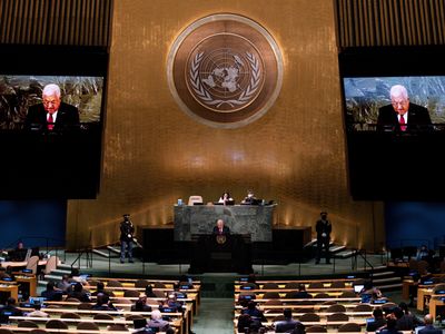 The U.N. General Assembly backs the Palestinians' membership bid