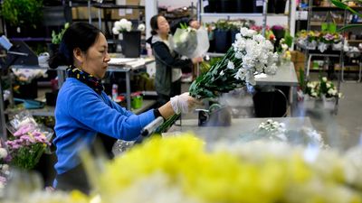 Rising costs won't stop that special bouquet for mum