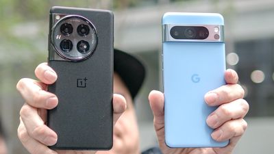 I shot over 200 photos with the OnePlus 12 vs Pixel 8 Pro — here's the winner