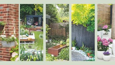 How to make a garden look expensive on a budget: 11 easy ideas to try