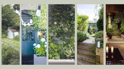 How to make a garden look expensive on a budget: 9 easy ideas to try