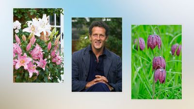Monty Don warns of a hidden pest 'completely camouflaged' in your garden – and how to get rid of it