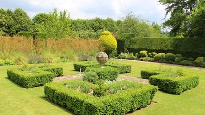 Landscaping with hedges: 11 ways to beautifully enhance or frame your plot