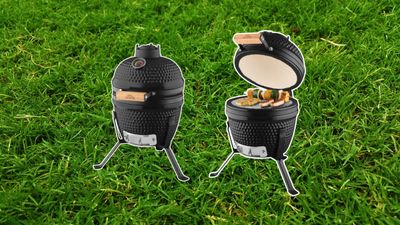 There's a kamado-style Grill Meister at Lidl for less than $100, and it's a small space steal