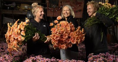 'Thanks mum': family affair to pick Mother's Day flowers at Medowie farm