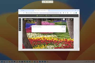 How to take screenshots on Google Chrome on Windows 10 and 11