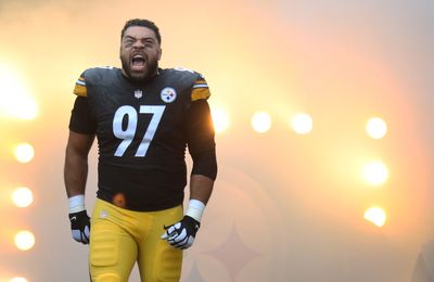 Cameron Heyward talks mentoring Steelers rookie DT Logan Lee