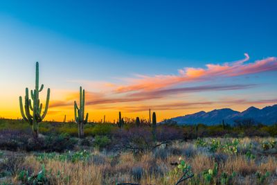 Arizona Retirement: Nine Things You Must Know