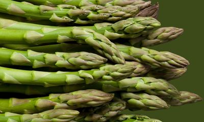 British asparagus back in supermarkets after criticism over imports