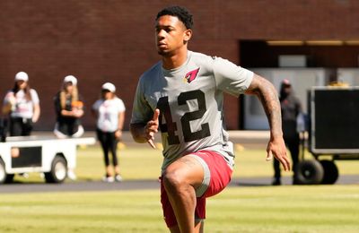 Expected role for rookie S Dadrion Taylor-Demerson for Cardinals in 2024