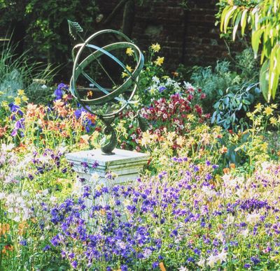 How to design an energising garden - turn your outdoor space into the ultimate recharging zone