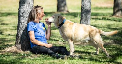 Why are Canberrans increasingly paying strangers to walk their dogs?